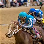 how to bet on horses odds